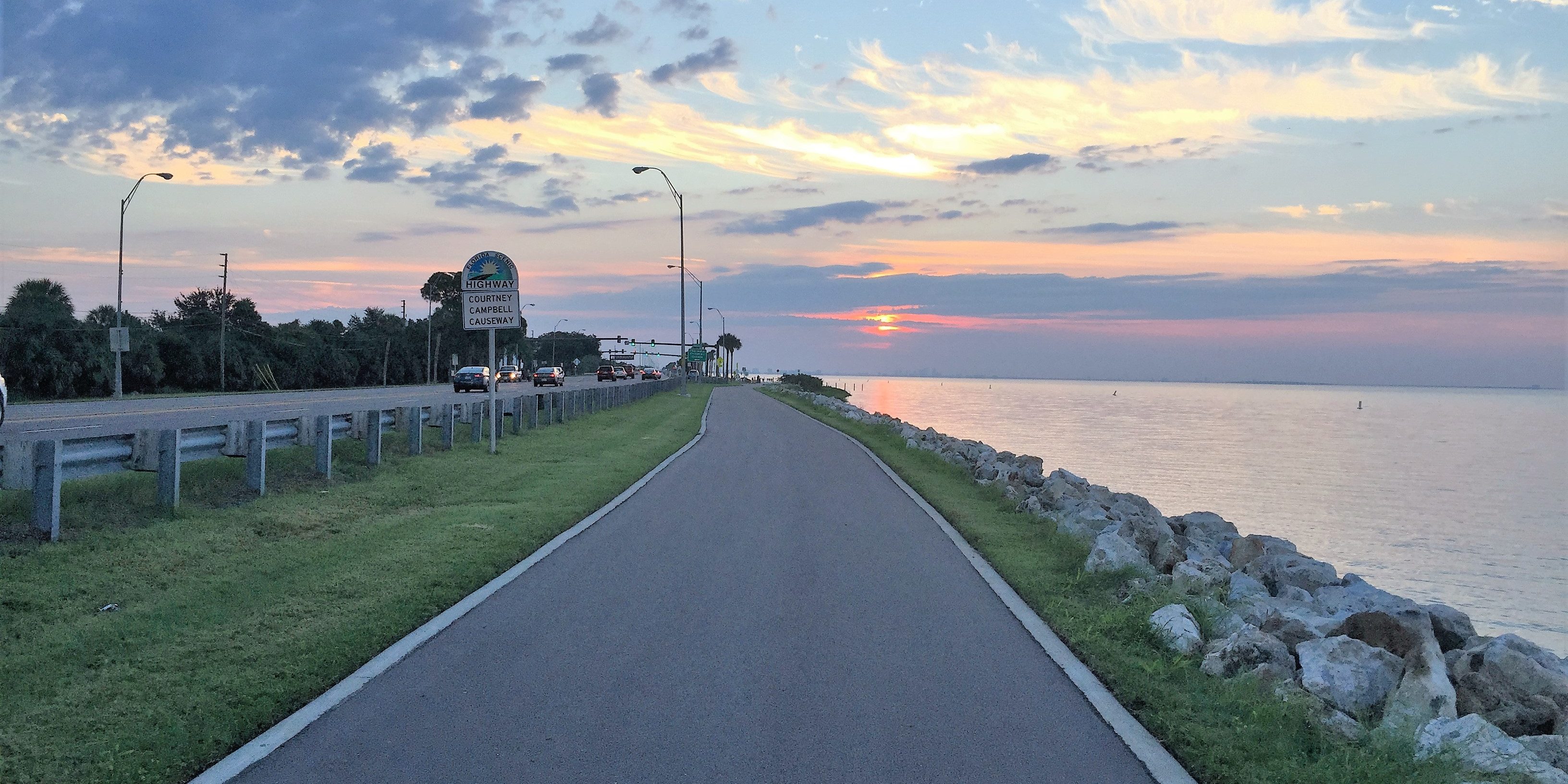 Trail at Courtney Campbell