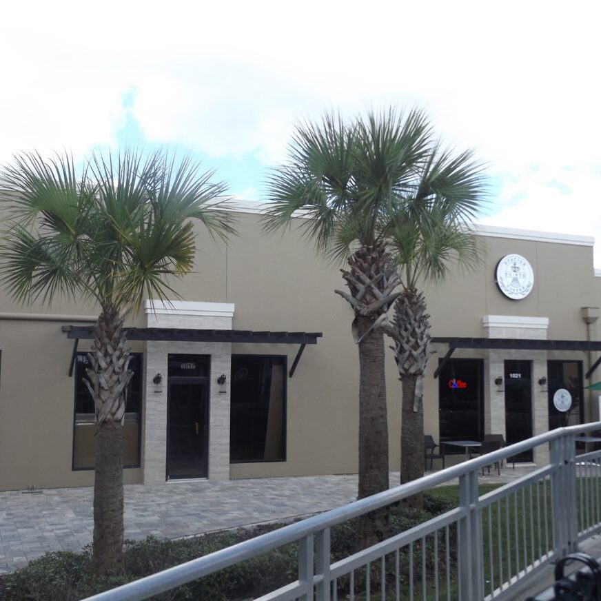 store with palm trees