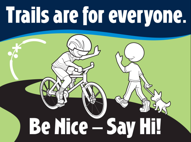 be nice- say hi- poster