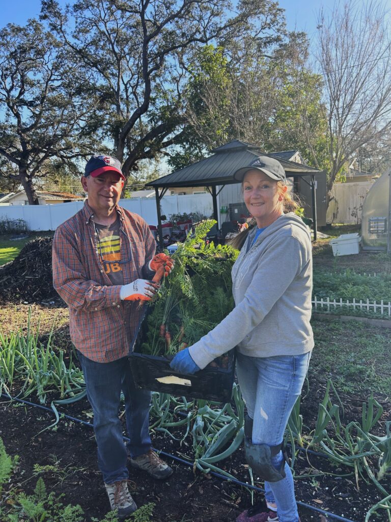 Man and a woman holding a barrel filled with carrots that they have grown.