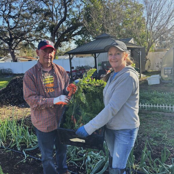Man and a woman holding a barrel filled with carrots that they have grown.