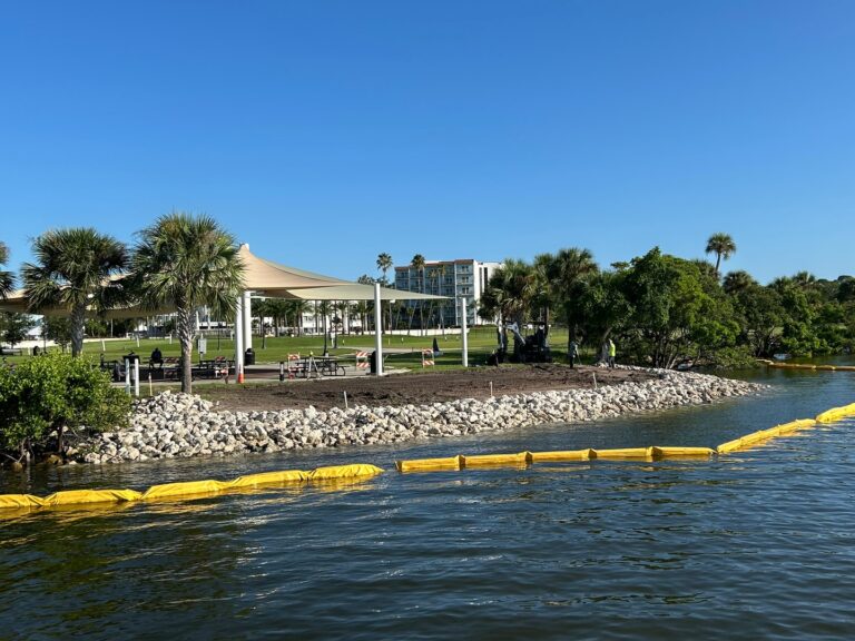 Living shoreline in Safety Harbor